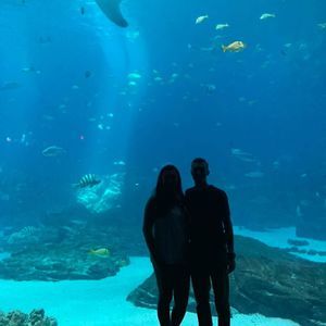 Meet your Posher, Celeste